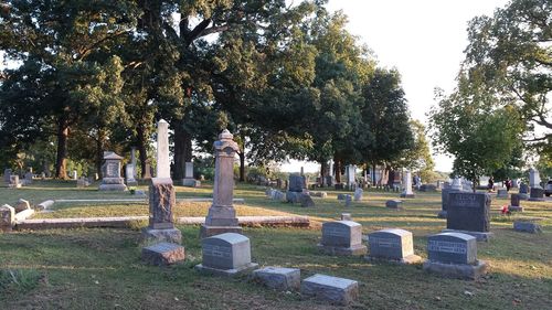 Trees in cemetery against sky