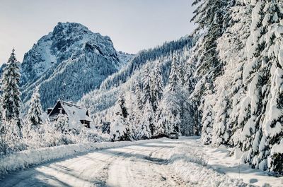 Snow covered mountain against sky