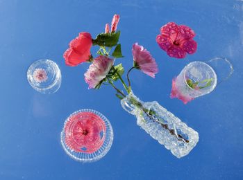 Close-up of rose bouquet