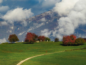 Trees on field against sky during autumn