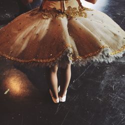 Low section of ballet dancer standing on floor