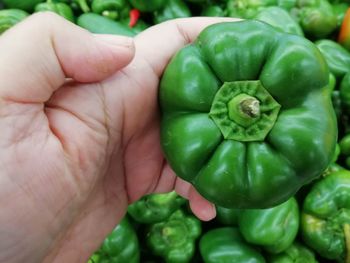 Close-up of hand holding bell peppers