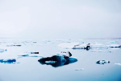 Scenic view of snow covered landscape