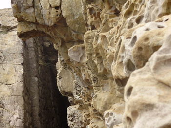 Close-up of rock formation in cave