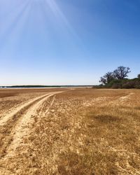 Scenic view of landscape against clear blue sky