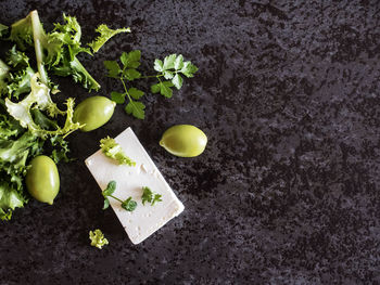 High angle view of feta cheese with olives and green herbs on marble counter