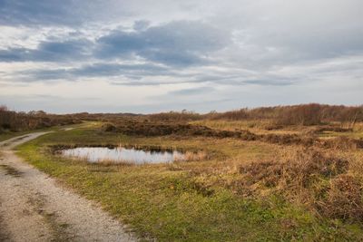 Scenic view of field against sky