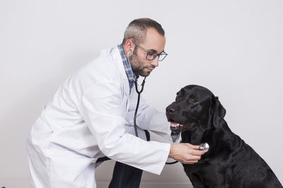 Side view of vet examining dog against wall in hospital