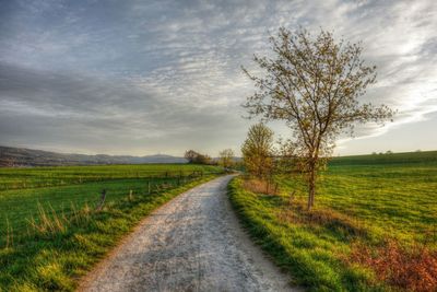 Road passing through field