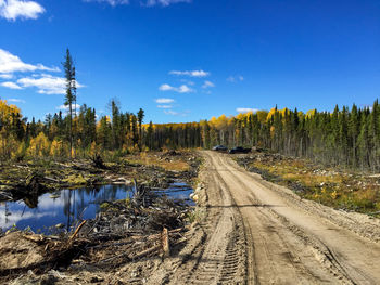 Logging road in rural northwestern ontario