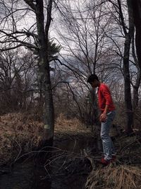tree