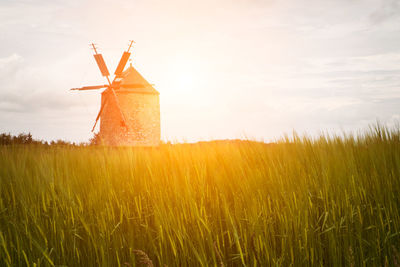 Traditional windmill by crops on farm during sunny day