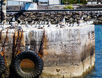 Close-up of rusty wheel
