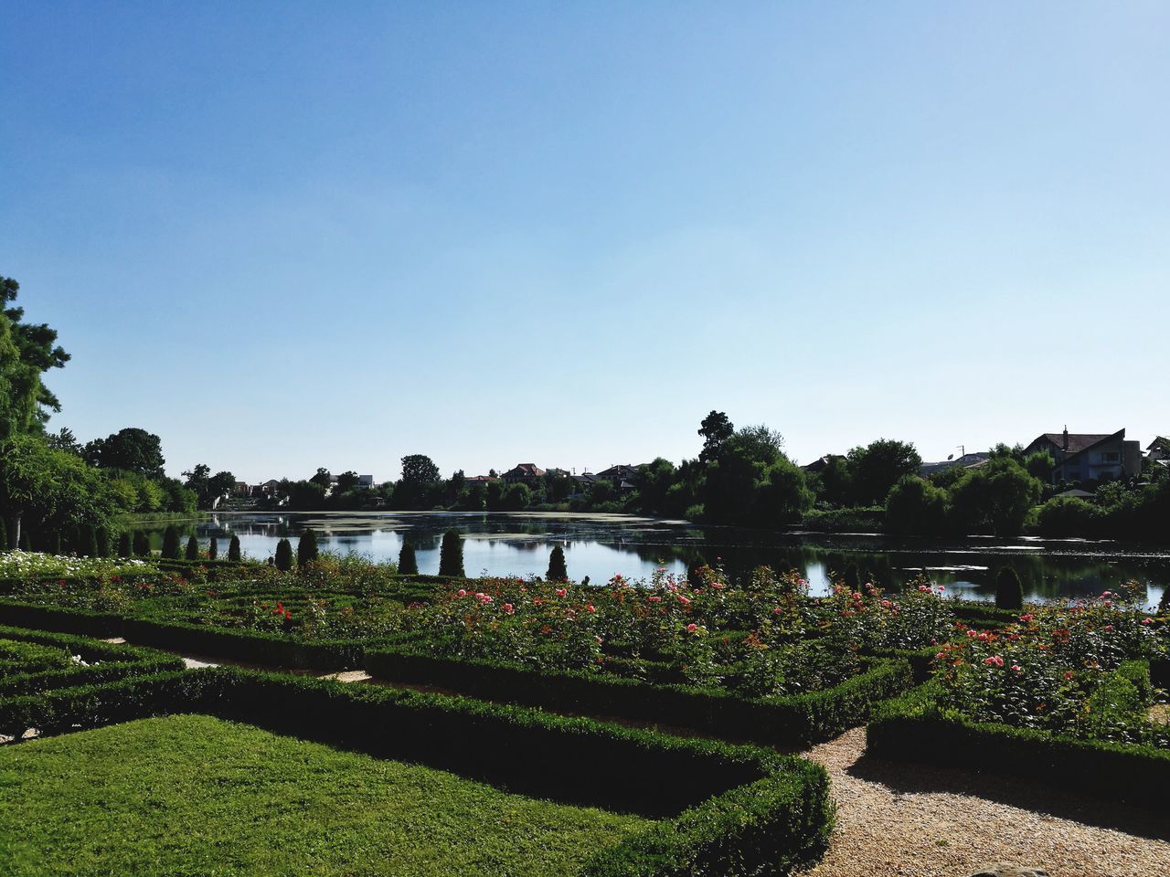 water, tree, nature, growth, beauty in nature, scenics, clear sky, tranquil scene, outdoors, day, agriculture, lake, landscape, sunlight, tranquility, no people, grass, sky, freshness