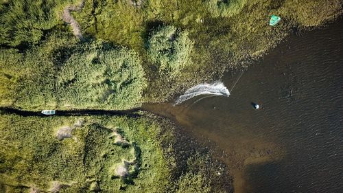 High angle view of starfish on beach