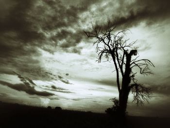 Silhouette trees on landscape against sky