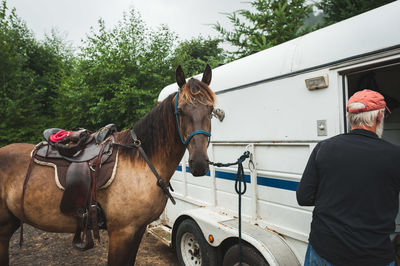 Man riding horse