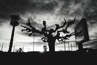 Low angle view of silhouette tree against sky