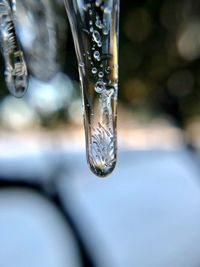 Close-up of water drop on leaf