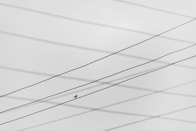 Low angle view of power lines against clear sky