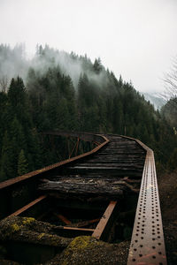 Aerial view of bridge in forest against sky