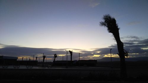 Silhouette trees against sky at sunset