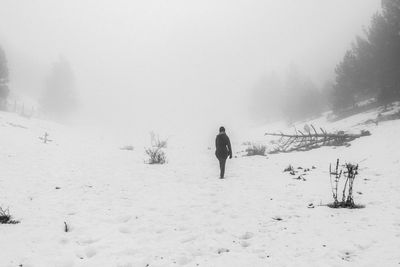 winter