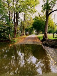 View of canal along trees