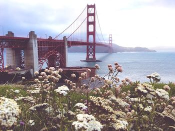 View of bridge against cloudy sky