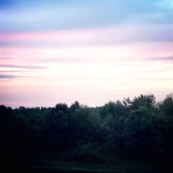 Scenic view of silhouette trees against sky at sunset