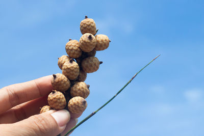 Close-up of hand holding ice cream against blue sky