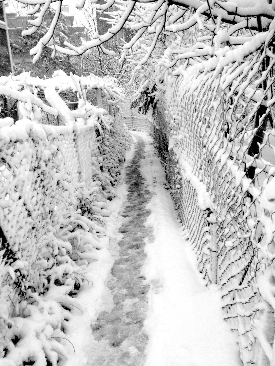 snow, winter, cold temperature, season, the way forward, weather, covering, landscape, tranquility, nature, tree, tranquil scene, high angle view, road, dirt road, field, beauty in nature, tire track, diminishing perspective, covered