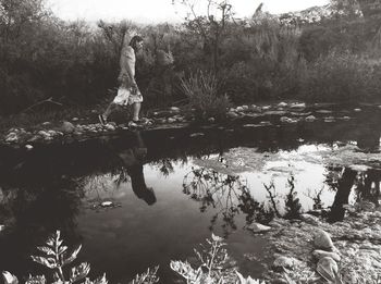 Reflection of trees in water