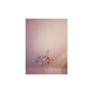 High angle view of insect on white background