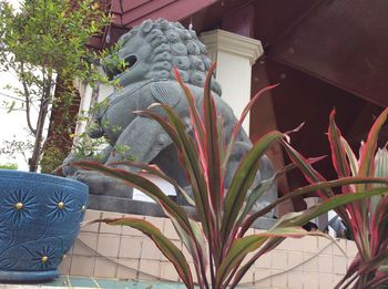 Close-up of statue against plants