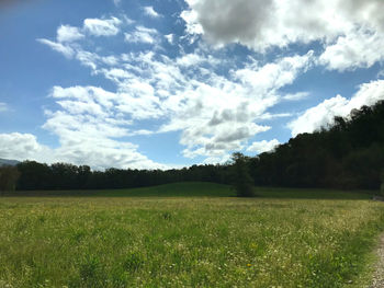 Scenic view of field against sky