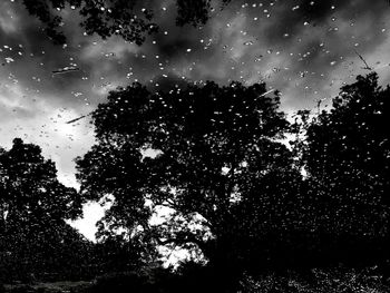 Low angle view of raindrops on silhouette trees against sky