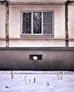 View of window in winter