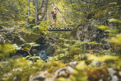 Female hiking bridge crossing in lush quebec forest