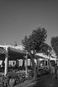 Trees against sky