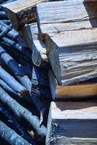 High angle view of logs