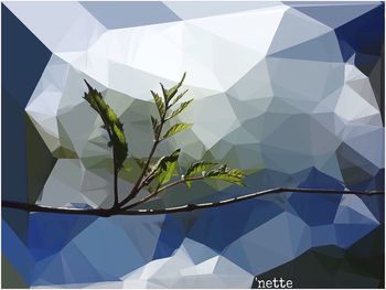 Low angle view of tree against sky