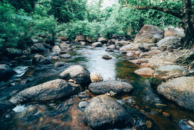 View of rocks in river