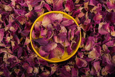 Close-up of rose petals on table