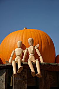 Full frame shot of pumpkin and pumpkins against clear sky