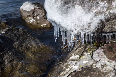 Close-up of frozen rock in sea