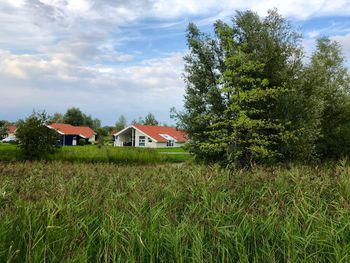 Trees and houses on field against sky