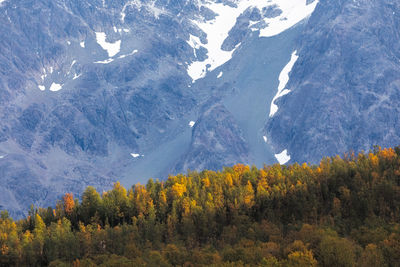 Scenic view of snowcapped mountains during autumn