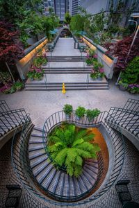 View of plants