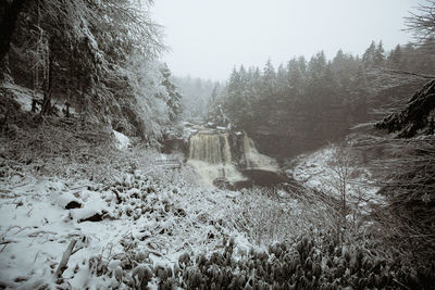 Scenic view of waterfall in forest against sky